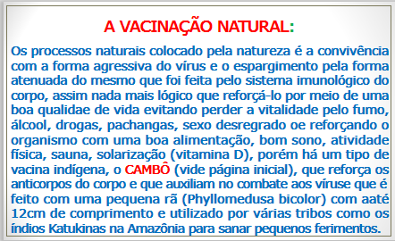 instituto, ayahuasca, erotica, verdade, maome